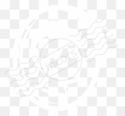 Iconexperience M - Collection Coin Gold Illustration png