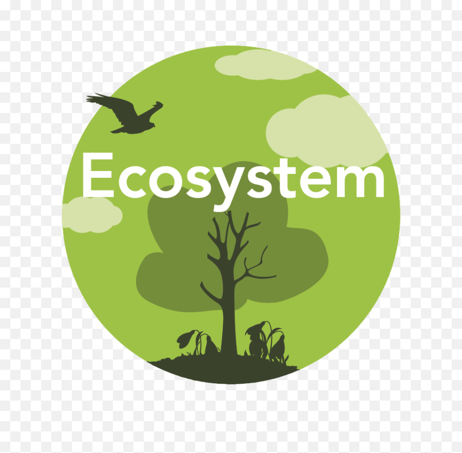 Paper Calculator 40 Environmental Network - Tree Png,Ecosystem Png