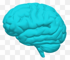 The Brain Freeze Trust - Home Illustration Png,Freeze Png