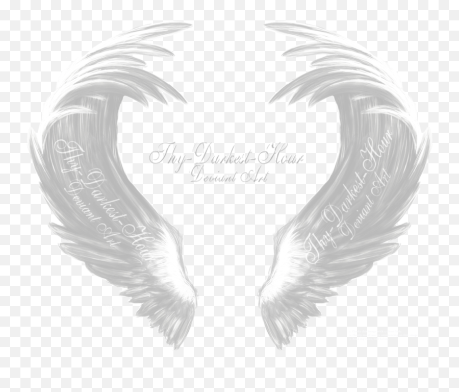 Download White Angel Wings - Eagle Png Image With No Black Angel Wing,Eagle Wings Png