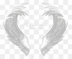 Download White Angel Wings - Eagle PNG Image with No Black