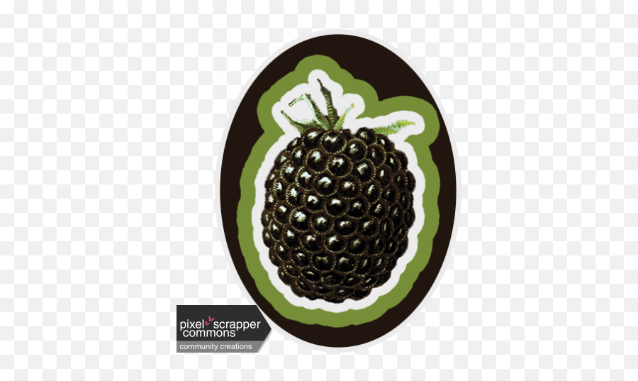 Blackberry Sticker Graphic By Jill Morgenstern Pixel - Circle Png,Blackberries Png