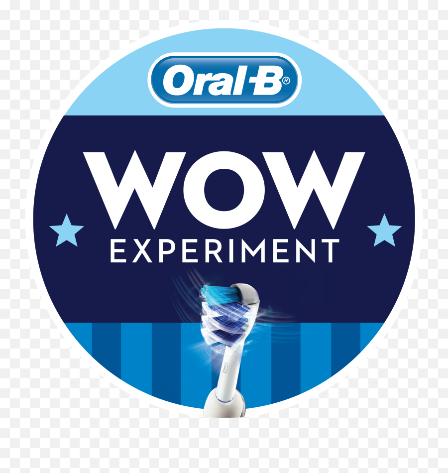 Oral-B Daily Clean Electric Toothbrush Replacement Brush Heads, 8 Count :  Amazon.in: Health & Personal Care