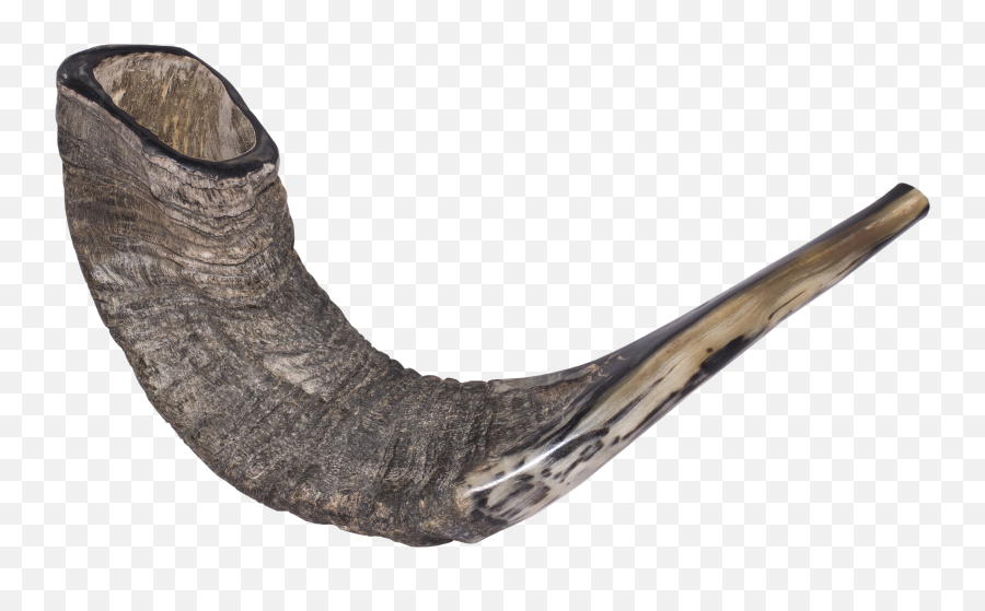 Shofar Png Transparent - Shofar Instrument Of Israel,Shofar Png