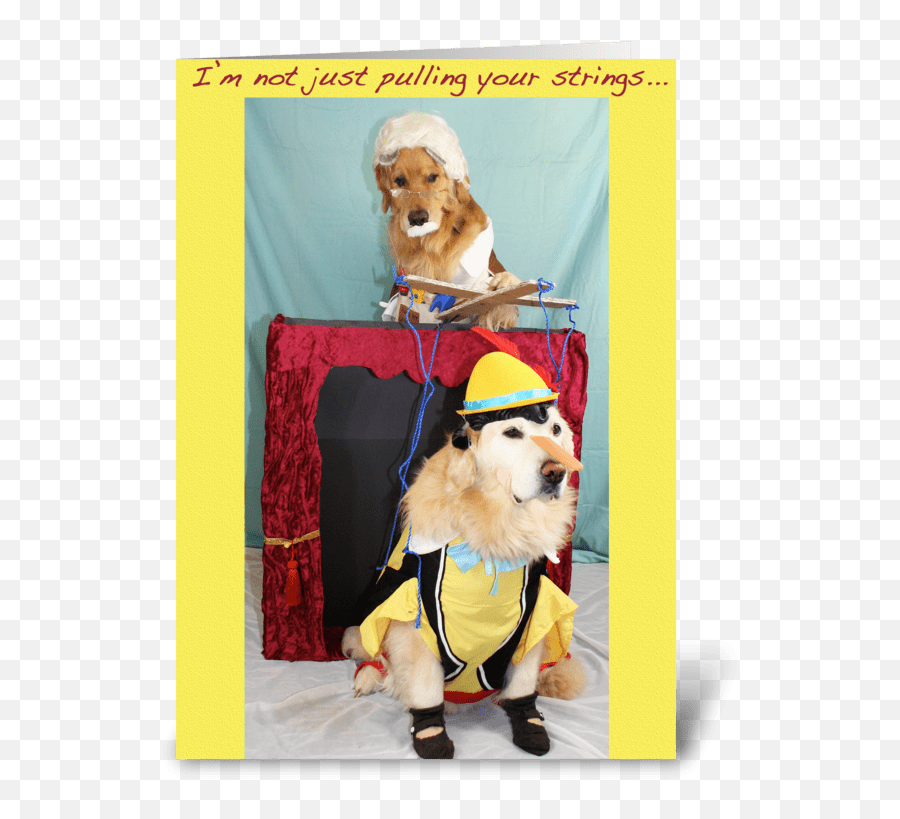 Marionette Puppet Show Birthday - Pinocchio Dog Png,Puppet Strings Png