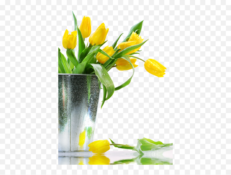 Yellow Flowers Hi - Res Psd Official Psds Tulips Drooping In Vase Png,Green And Yellow Flower Logo