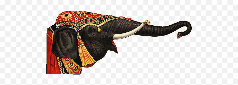 Download Hd Circus Elephant Cut - Indian Elephant Png,Circus Elephant Png