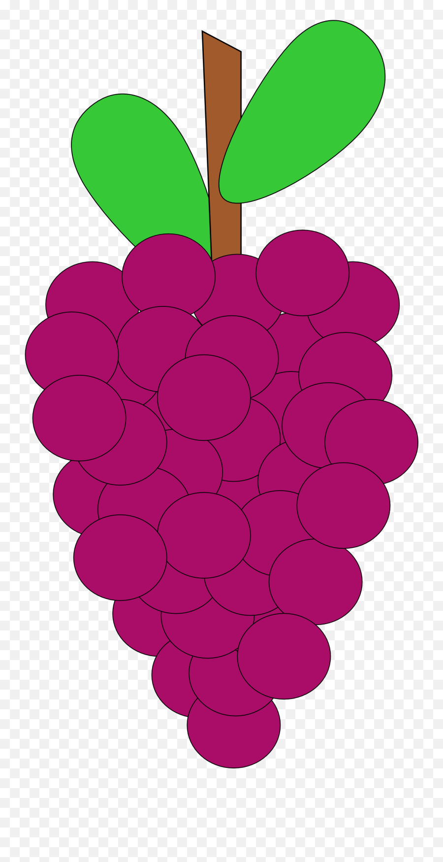 Grapes Clipart Grape Fruit Clip Art Downloadclipart Org - Cartoon Grape Vine Png,Pewdiepie Logo Transparent