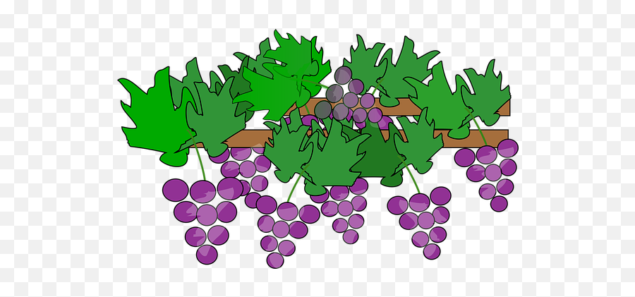 100 Free Grapes U0026 Wine Vectors - Pixabay Grape Vine Plant Clipart Png,Grapes Icon