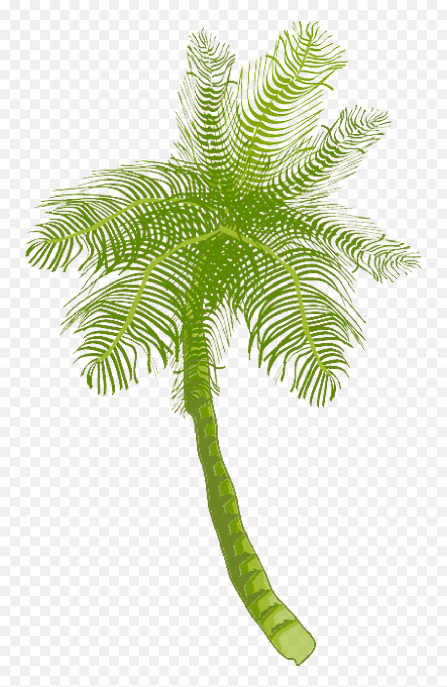 Download Tree Ocean Summer Vacation Beach Palm Leaf - Coconut Tree Clip Art Png,Palm Tree Clip Art Png