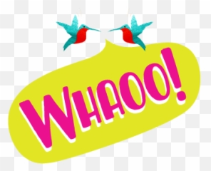 Whaoo Crepes And Croissants Wholesale Snack Supplier - Language Png,Crepe Icon