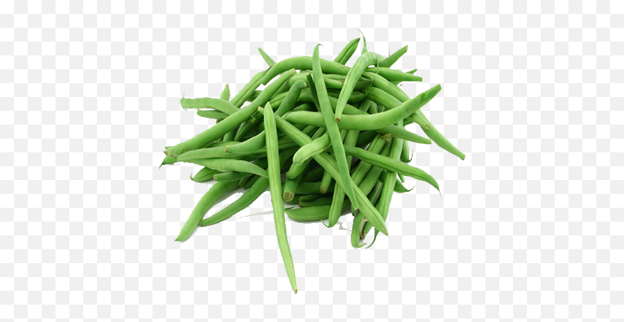 Green Beans 500 Grams Png