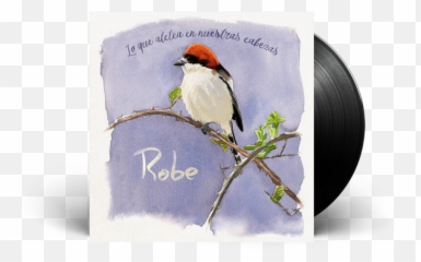 Robe Lo Que Aletea En Nuestras Cabezas - Underground Record Shop En png