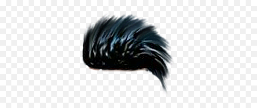 Hd Cb Hair Png Zip File Free Download - Porcupine,Men Hair Png