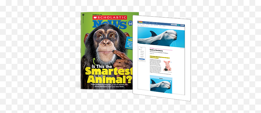 Scholastic News Edition 56 Current Nonfiction For Grade 5 - Scholastic News 5 6 Png,Planet Of The Apes Folder Icon