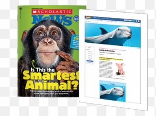 Scholastic News Edition 56 Current Nonfiction For Grade - png