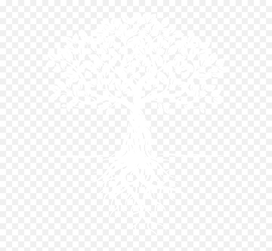Download Hd Competence - White Tree Roots Png,Black And White Tree Png