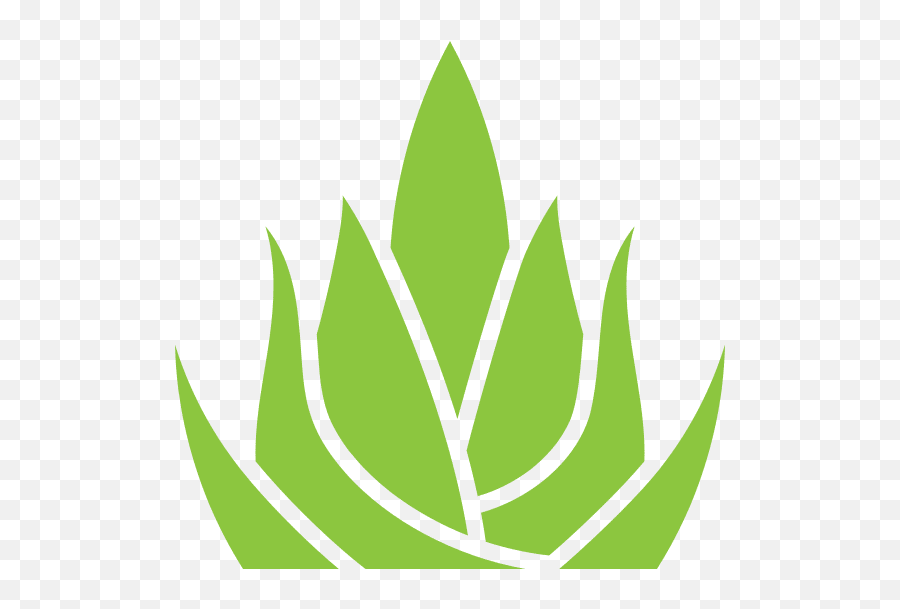 Followart U2013 Canva - Language Png,Aloe Icon