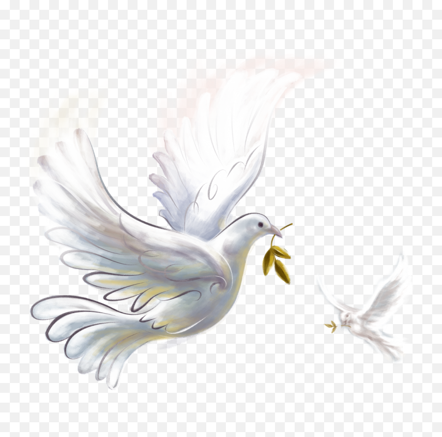 Download Pigeon Png Image With No Background - Pngkeycom Peace On Earth Happy Christmas 2019,Pigeon Png
