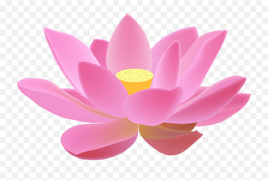 Candle In Lotus Png Clip Art - Lotus Images Png,Candle Transparent Png