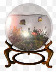32 - Bit Rgba Pngs On Yellow Stucco Fish Bowl,Fish Png Transparent