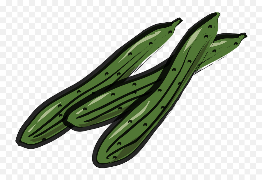 Cucumber Vegetable Food Clipart Free Download Creazilla - Illustration Png,Food Clipart Transparent