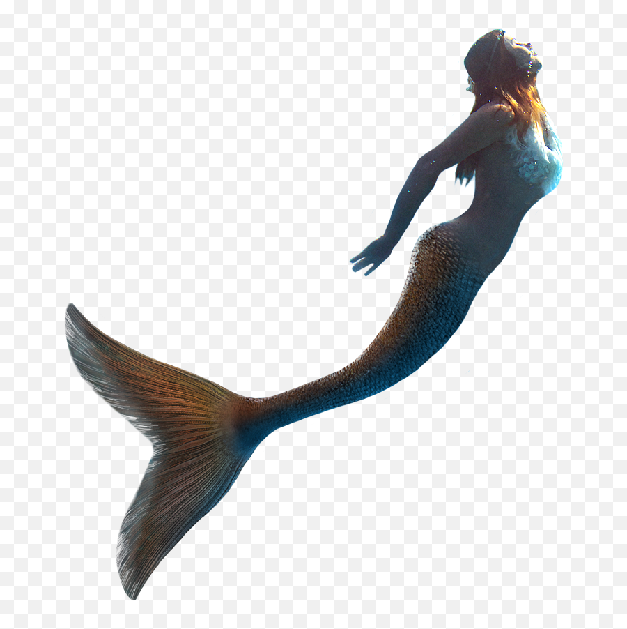 Little Mermaid Llc United Kingdom - Mermaid With Transparent Background Png,Mermaid Transparent Background