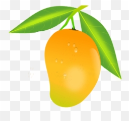 Mango Png Image Fruits Images Drawing Food - Mango Images Hd,Fruit Tree Png