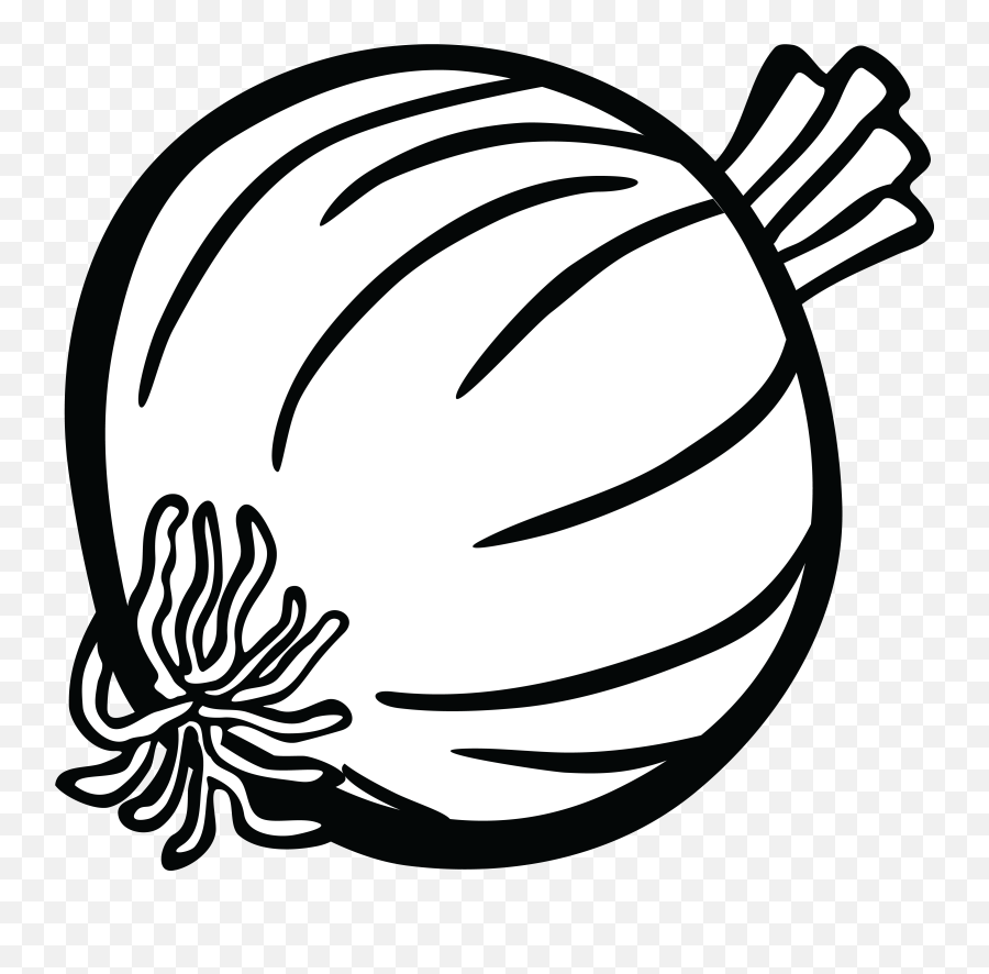 Onion Clipart Png - Onion Black And White,Onion Transparent Background