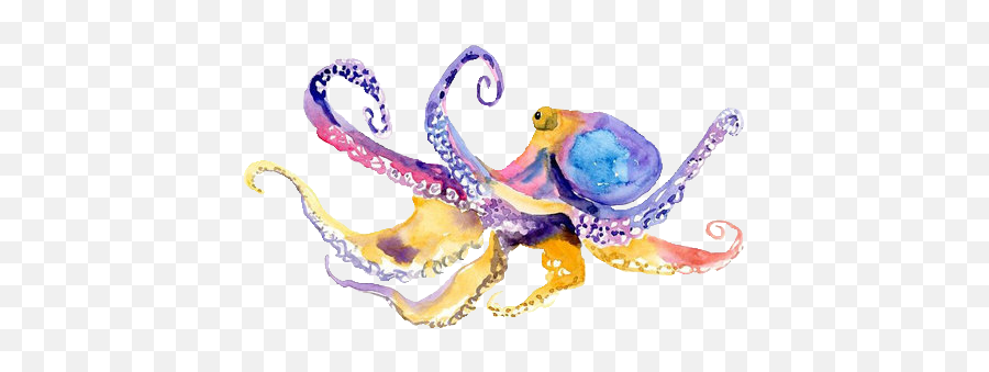 Pastel Watercolor Octopus Original Painting - Octopus Watercolor Png,Octopus Png