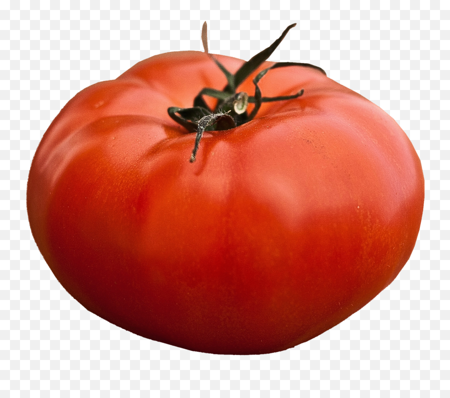 Isolated Beefsteak Tomato - Free Photo On Pixabay Grosse Tomate Png,Tomato Png