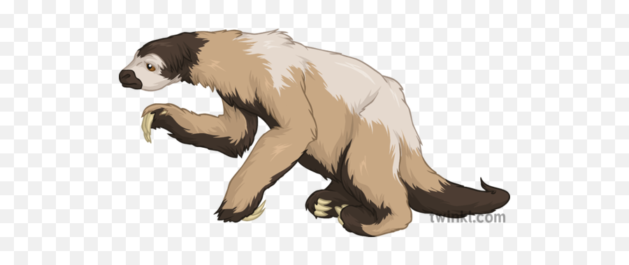 Ground Sloth Geography History Extinct Animals Secondary 2 - Extinct Animals Geography History Sloth Png,Sloth Transparent