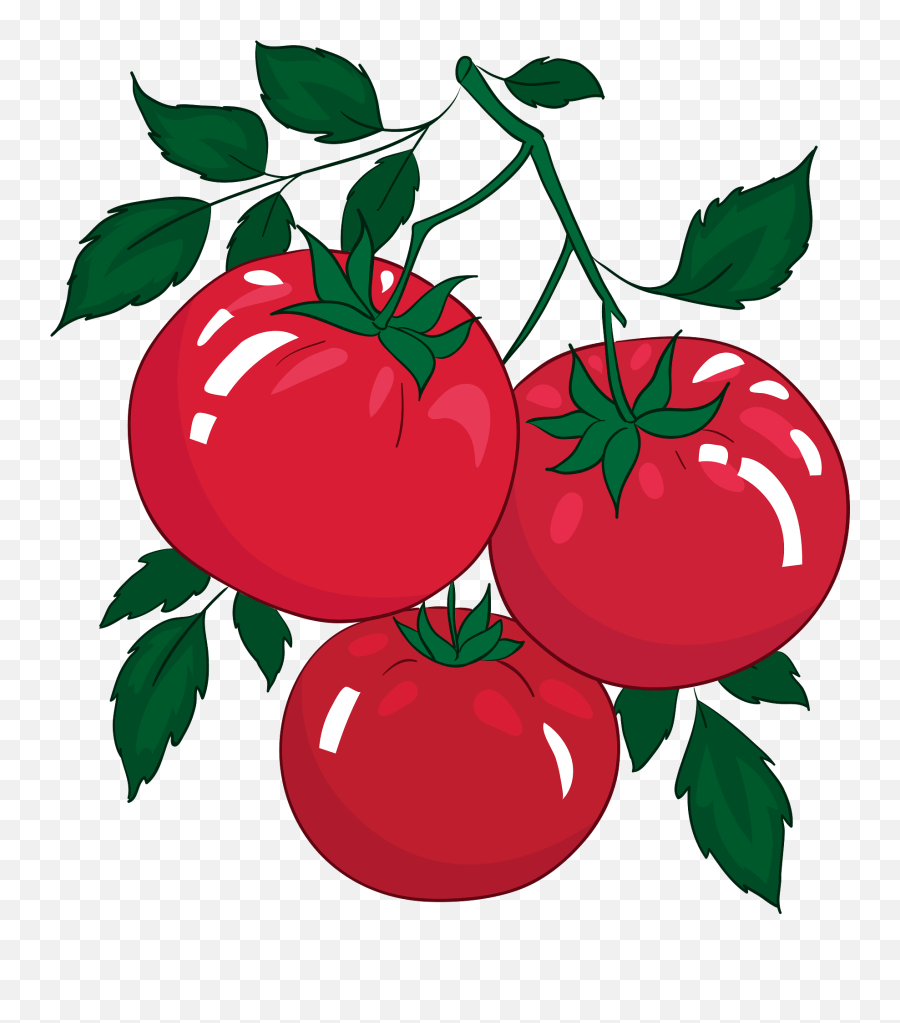 Clipart - Transparent Tomatoe Clip Art Png,Tomato Transparent