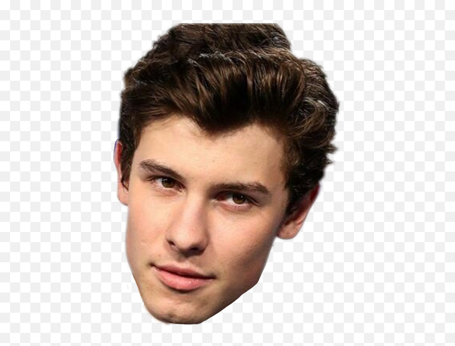 Download Hd Report Abuse - Shawn Mendes Head Png,Shawn Mendes Png
