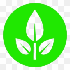 Leaf Wall By Skiddyfisk Copy Free Images - Wall E Eve Logo Png,Wall E Png
