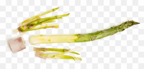 Download Asparagus Hd Png - Asparagus,Asparagus Png