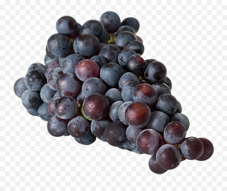 200 Free Table Grapes U0026 Images - Pixabay Uvas Negras Png,Grapes Transparent Background