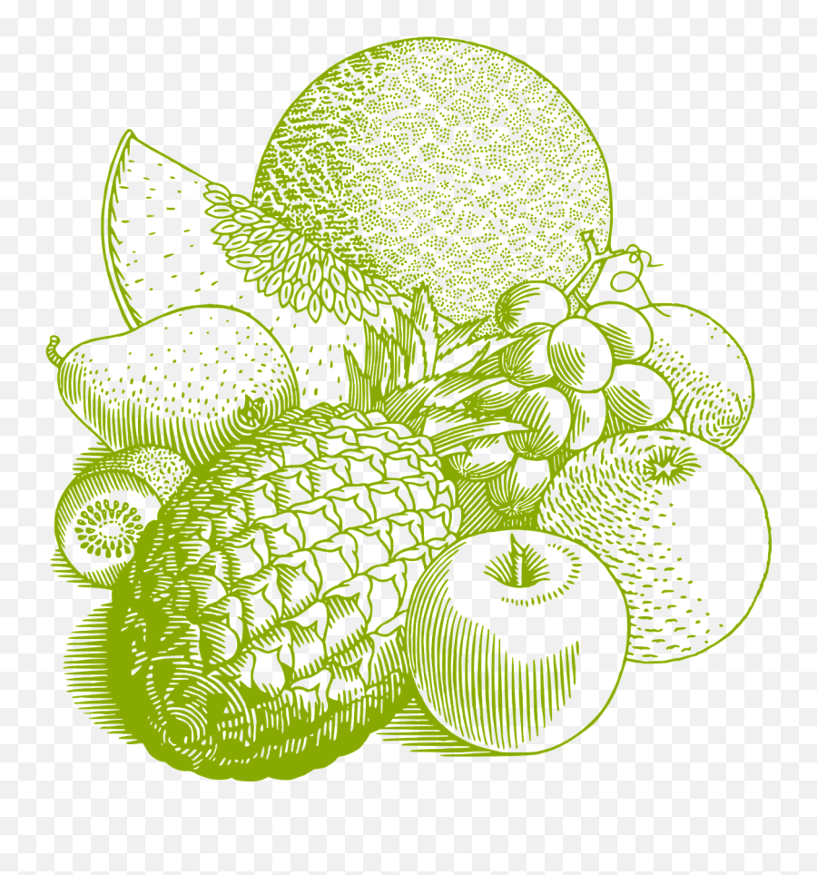 Fruits Vintage Food - Free Vector Graphic On Pixabay Still Life Drawing Fruits Png,Vintage Png Images