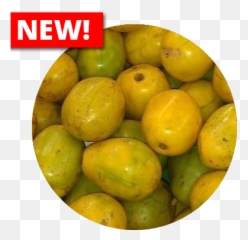 West Indian Plum - West Indian Plum Png,Plum Png