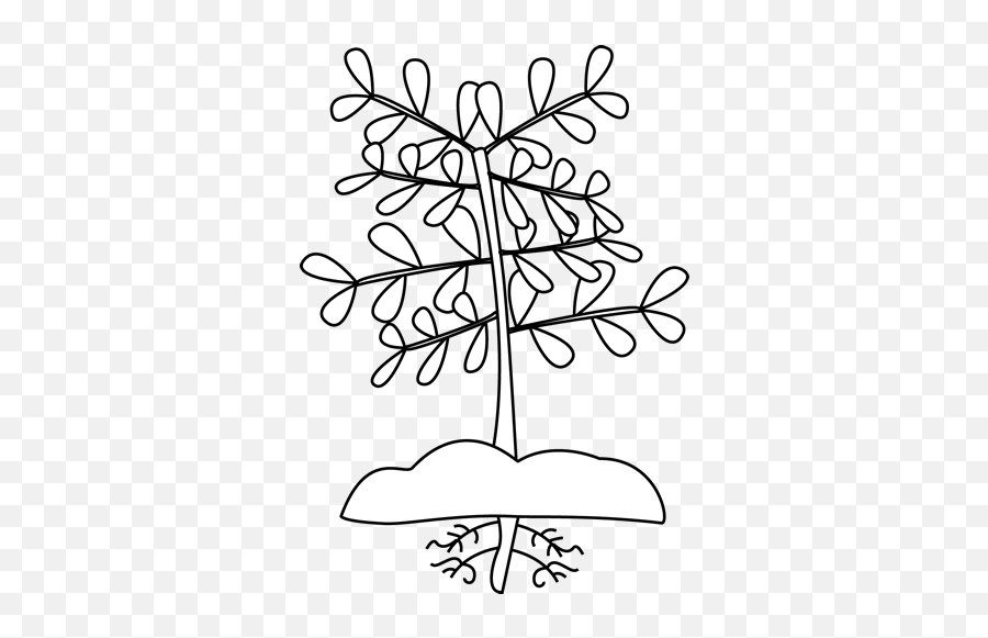 Black And White Plant With Roots Clip Art - Black And White Black And White Image Of Plant Png,Tree Clipart Black And White Png