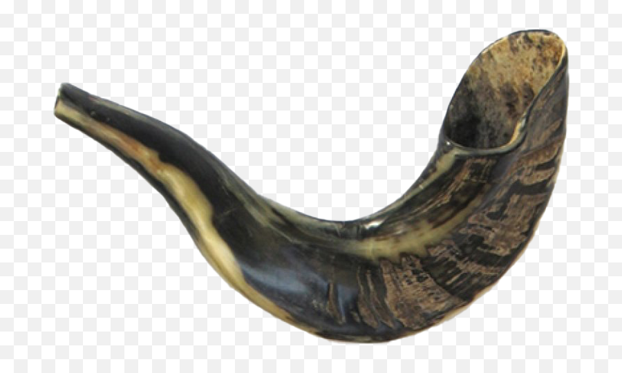 Shofar Png Transparent Picture - Rams Horn Shofar,Shofar Png