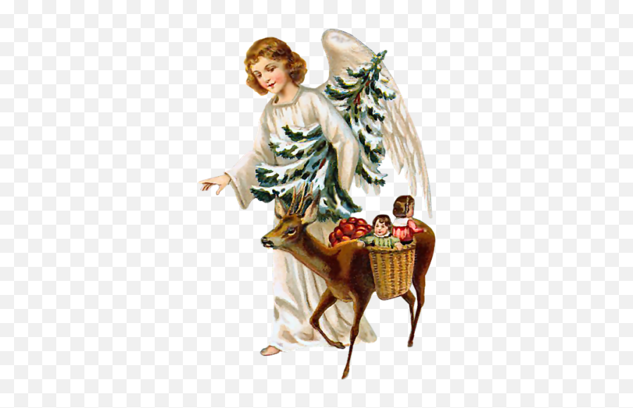 Angels - Christmas Angel Transparent Png Hd Png Download,Christmas Angel Png