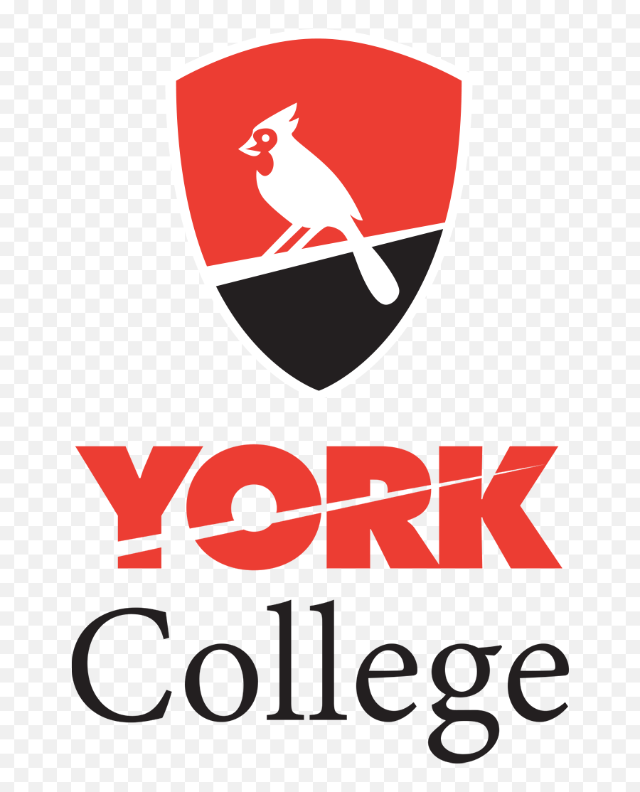 Continuing Education Association Of New York - Regional Cuny York College Logo Png,Suny Oneonta Logo