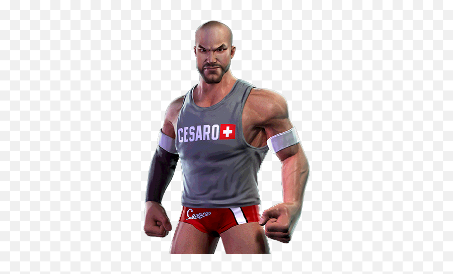 Leveling Calculator For Cesaro - Vest Png,Cesaro Png