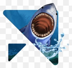 Hungry Shark - Great White png