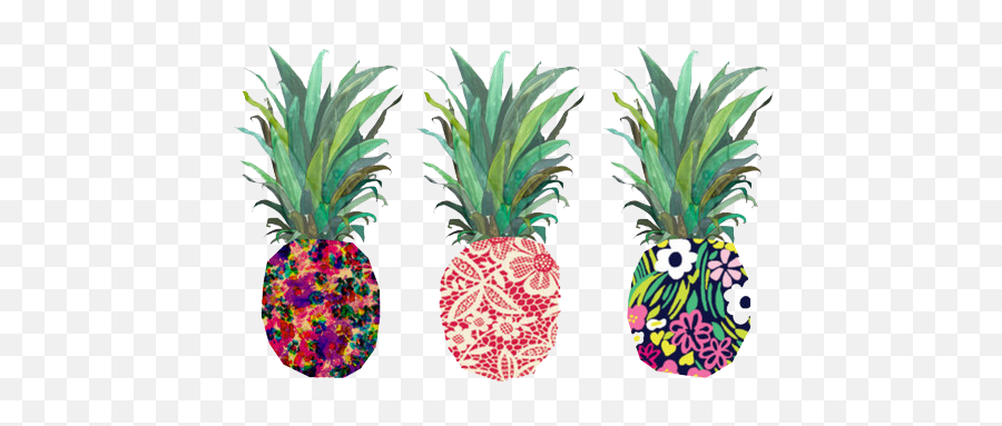 Png Tumblr Transparent Donut - Pineapple Desktop Backgrounds,Pineapple Transparent