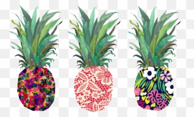 Png Tumblr Transparent Donut - Pineapple Desktop Backgrounds,Pineapple Transparent
