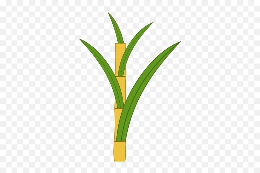 Sugar Cane Icon Png And Svg Vector Free Download - Vertical,Sugar Icon