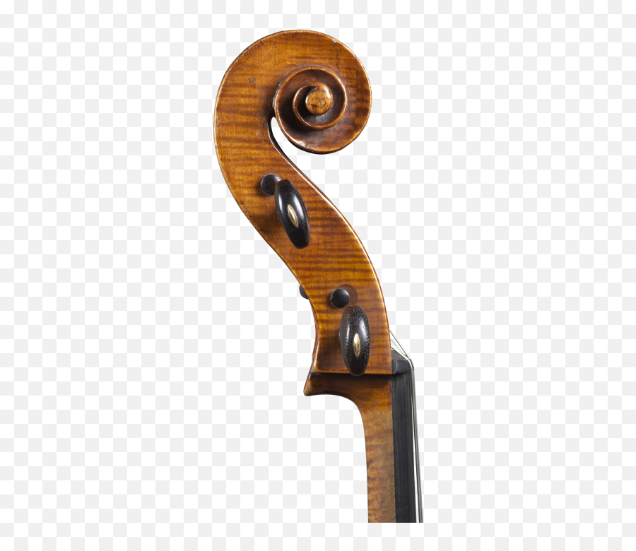 Lorenzo Ventapane Cello For Sale Ingles Hayday - Riccio Violino Amati Png,Cello Png