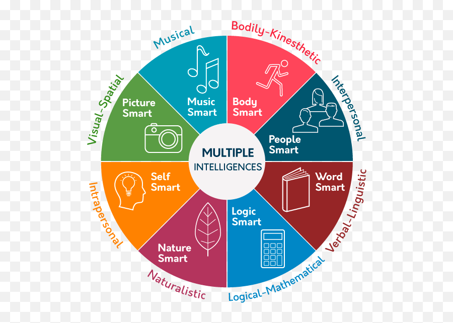 Multiple Intelligences - Statefields School Inc Png,Kinesthetic Icon